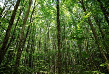 Weekend excursion Taxiarhis Chalkidiki, Greece, 2018.